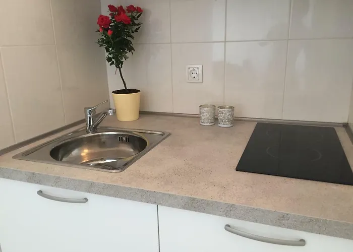 Leptiric بودْسْتغانا